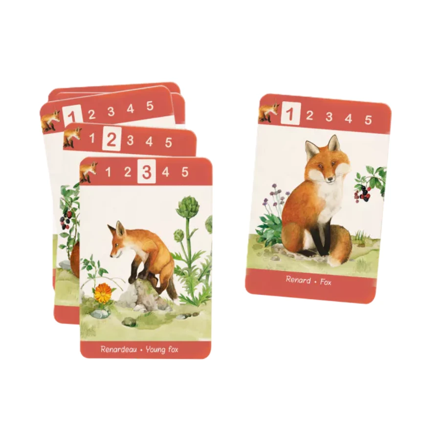 Jeu de 7 Familles – Le Jardin du Moulin – Moulin Roty