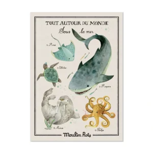 Affiche Sous la mer 50x70 cm, collection Tout autour du monde